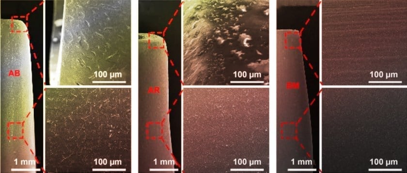 A series of high-magnification views of a seemingly smooth human heart valve, revealing the rough texture under extreme close-up.